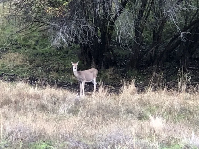 Pittsburg Campground Picture 1