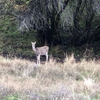 Pittsburg Campground ico