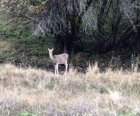 Pittsburg Campground