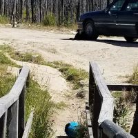 Horse Creek Hot Springs Campground ico