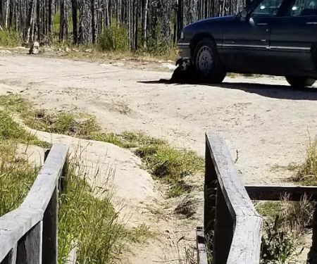 Horse Creek Hot Springs Campground