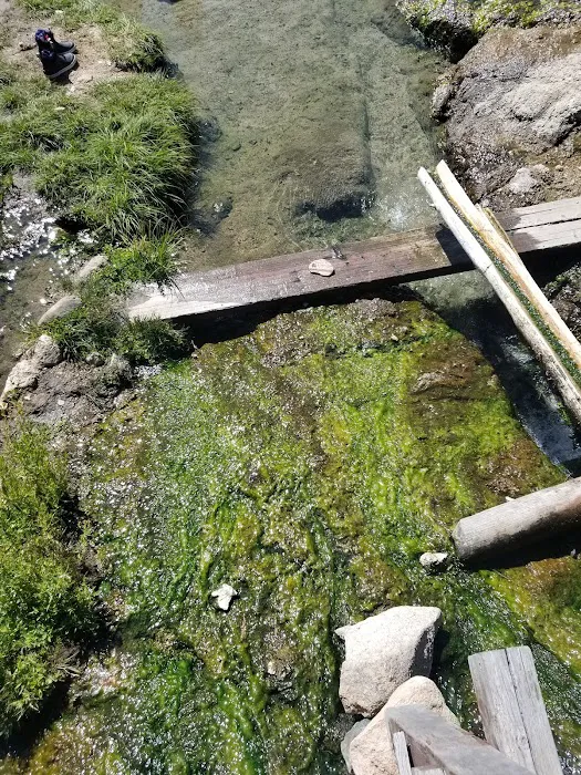 Horse Creek Hot Springs Campground Picture 3