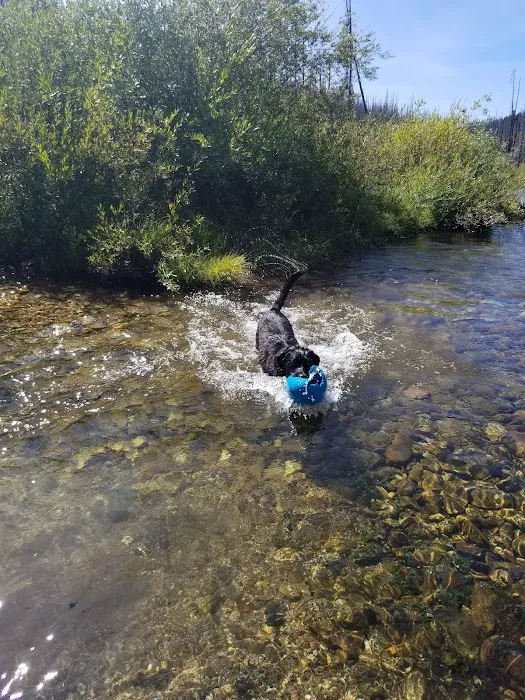 Horse Creek Hot Springs Campground Picture 4