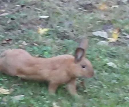 Dalewood Mobile Home Park