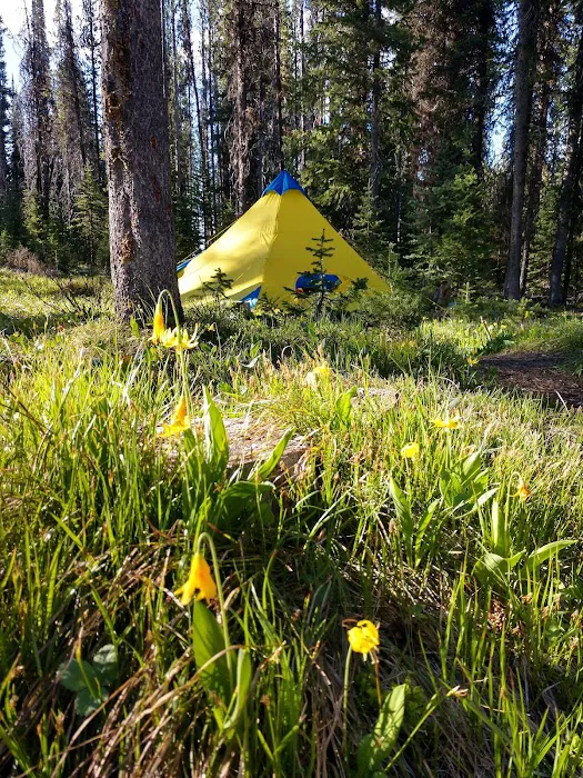 Burgdorf Campground Picture 4
