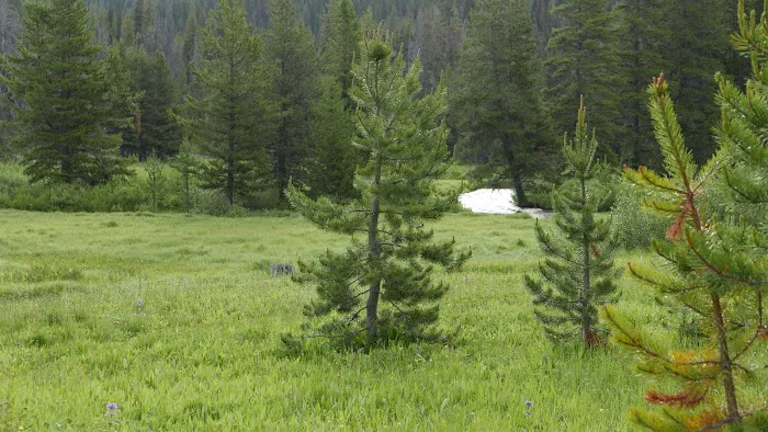 Burgdorf Campground Picture 3