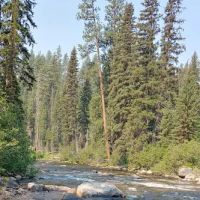 Ponderosa Campground ico
