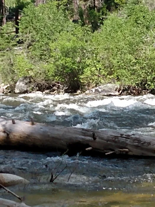 Ponderosa Campground Picture 6