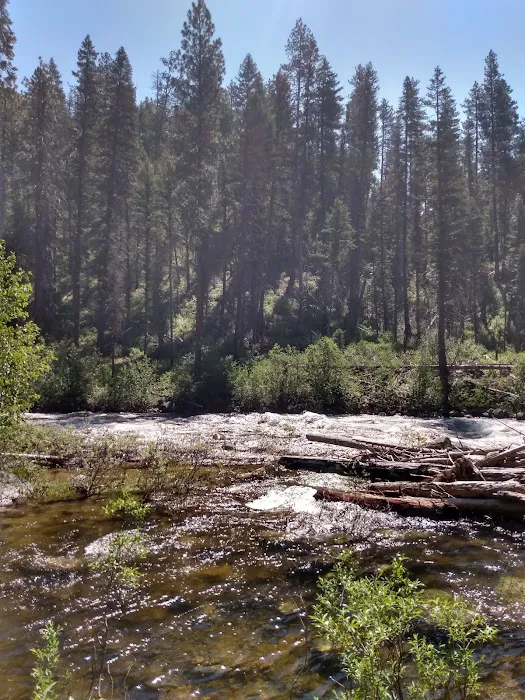 Ponderosa Campground Picture 5