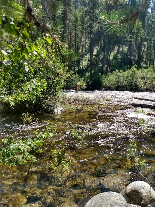 Ponderosa Campground Picture 7