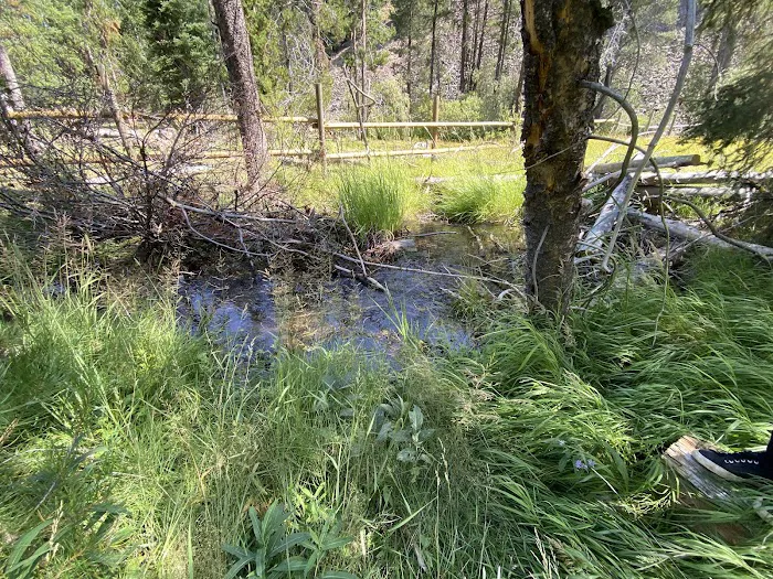 Big Creek Campground Picture 5