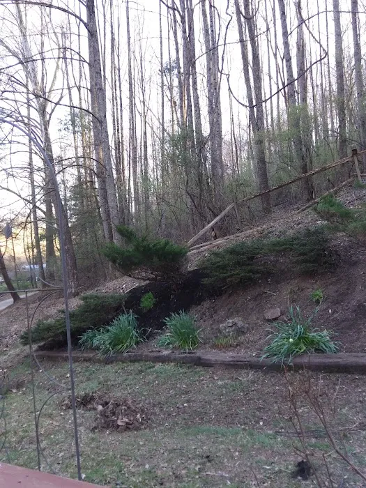 Sand Hill Mobile Home Park Picture 4