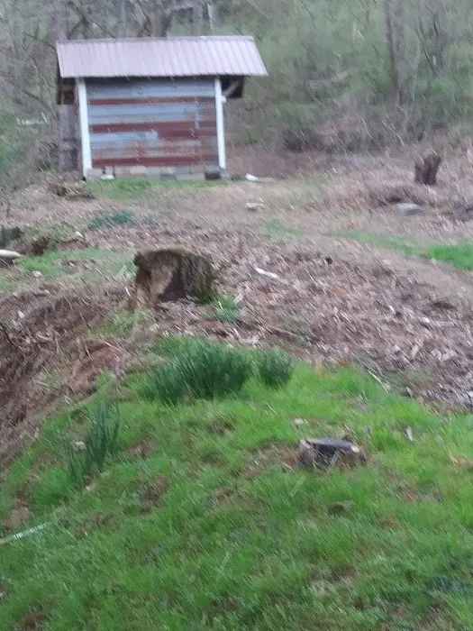Sand Hill Mobile Home Park Picture 6