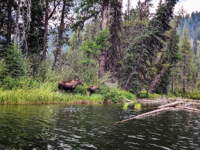 UPPER PAYETTE LAKE CAMPGROUND Picture 7