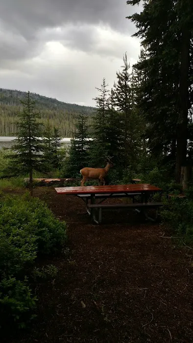 UPPER PAYETTE LAKE CAMPGROUND Picture 9