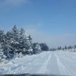 Ferrell Mobile Home Park