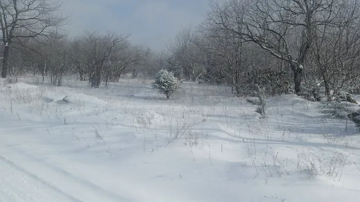 Ferrell Mobile Home Park Picture 10