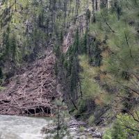 Yellow Pine Campground ico