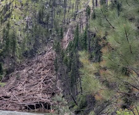 Yellow Pine Campground