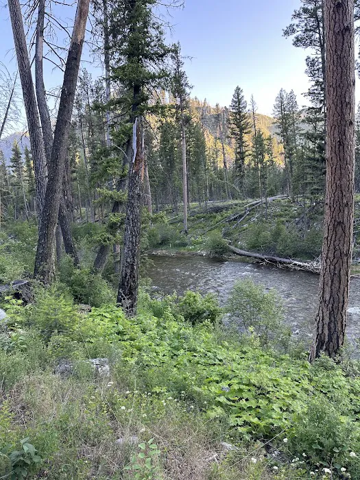 Yellow Pine Campground Picture 4