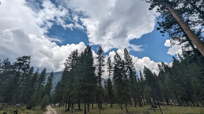 Yellow Pine Campground Picture 3