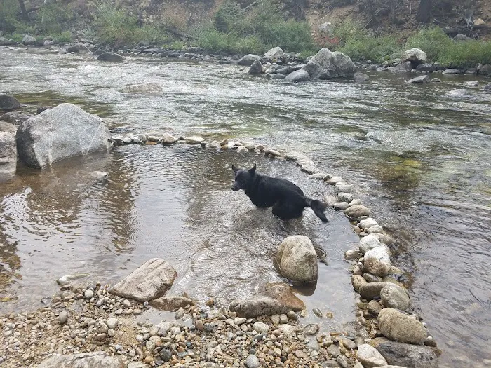 Golden Gate Campground Picture 4
