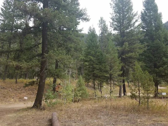 Golden Gate Campground Picture 6