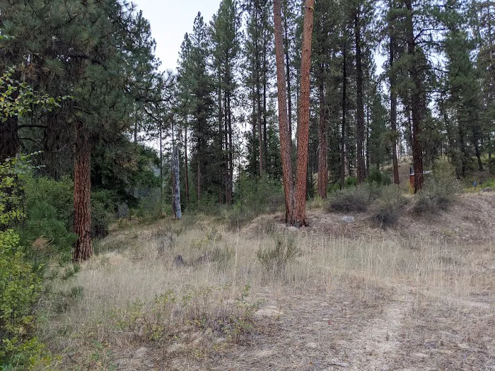 Teepee Creek Campground Picture 1