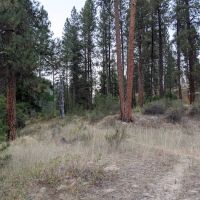 Teepee Creek Campground ico