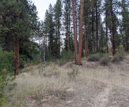 Teepee Creek Campground