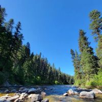 Buckhorn Bar Campground ico