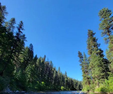 Buckhorn Bar Campground