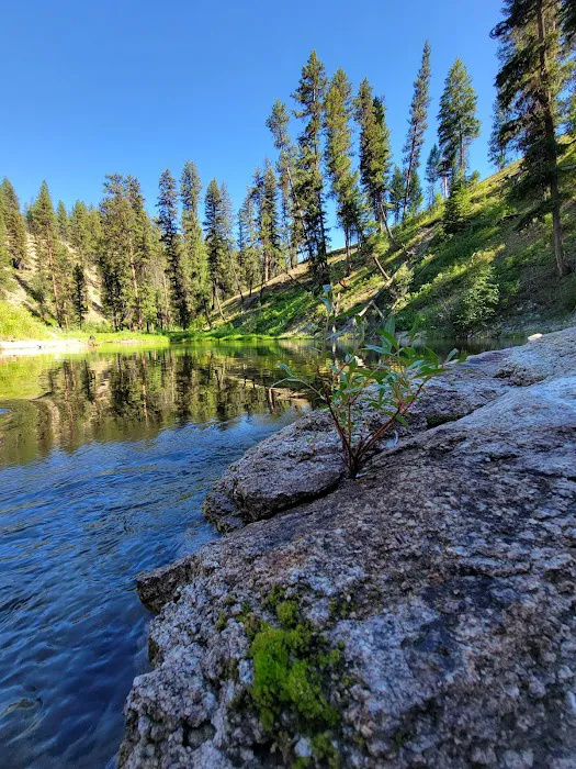 Buckhorn Bar Campground Picture 5