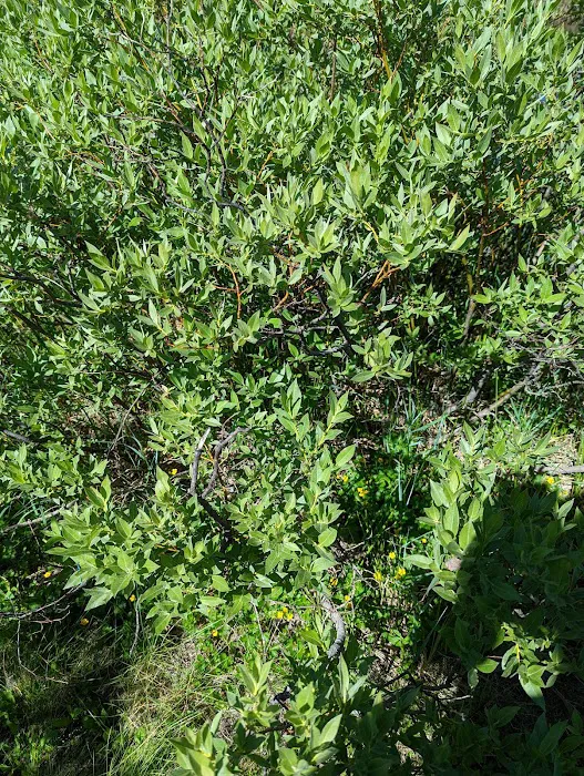 Hazard Campground Picture 9