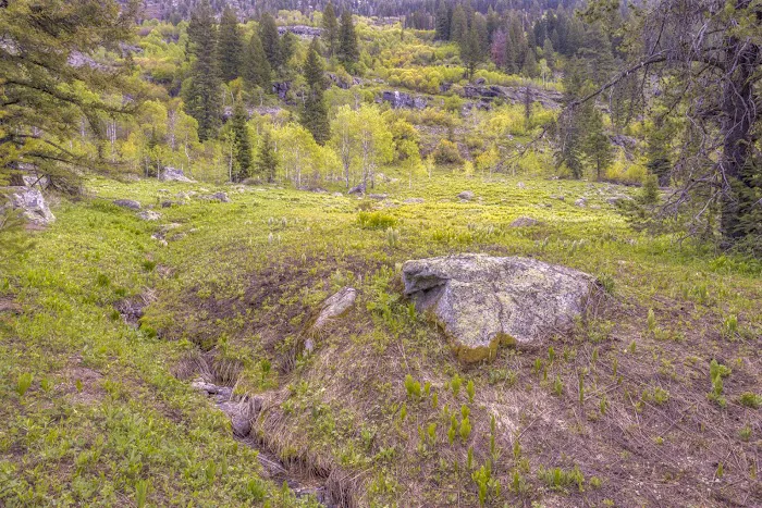 Black Lee Campground Picture 2