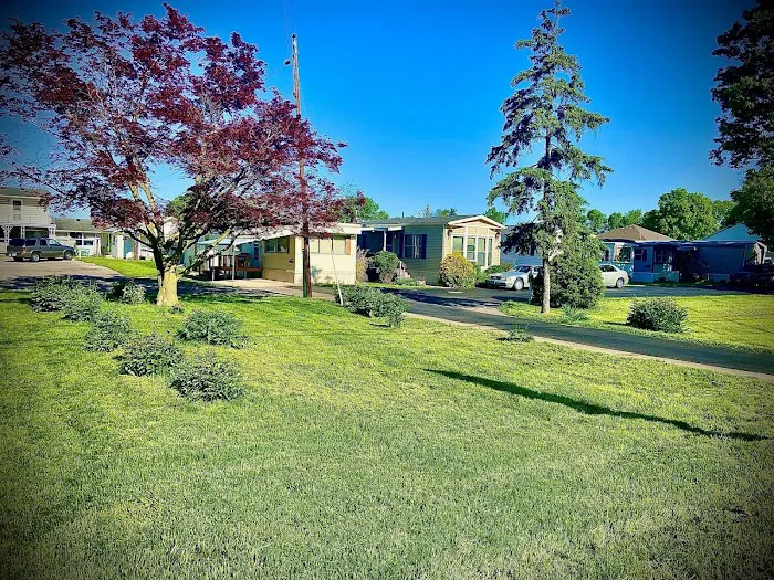 Horning Mobile Manor Picture 5