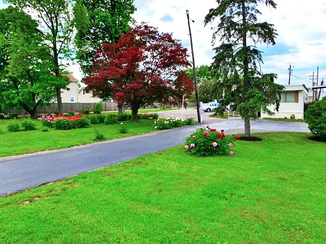 Horning Mobile Manor Picture 8