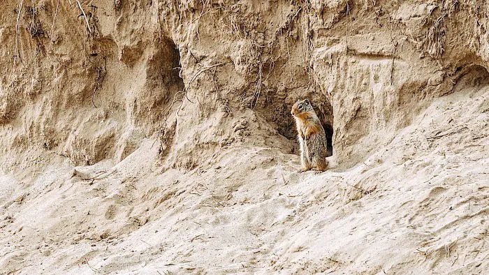 Northwest Passage Campground Picture 9