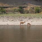 Shorts Bar Recreation Site