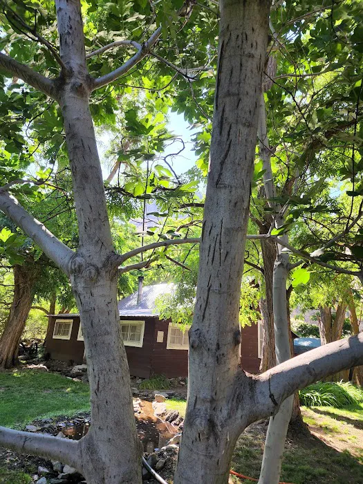 Sheep Creek Ranch Picture 8