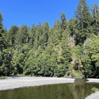 Redwood Creek Dispersed Camping ico