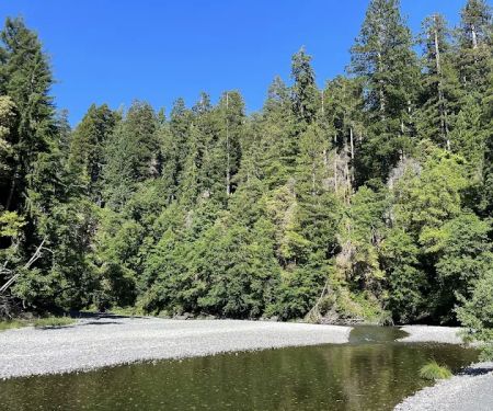 Redwood Creek Dispersed Camping