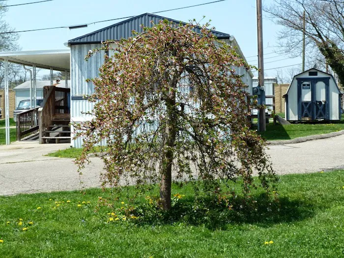 Hazelhurst Mobile Home Park Picture 2