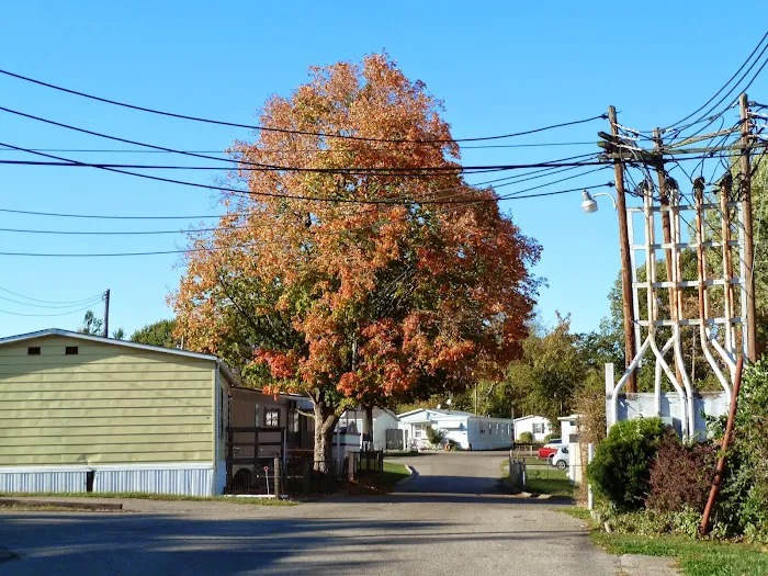 Hazelhurst Mobile Home Park Picture 1
