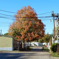 Hazelhurst Mobile Home Park ico