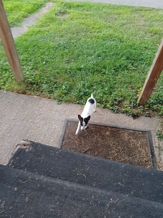 Hazelhurst Mobile Home Park Picture 7