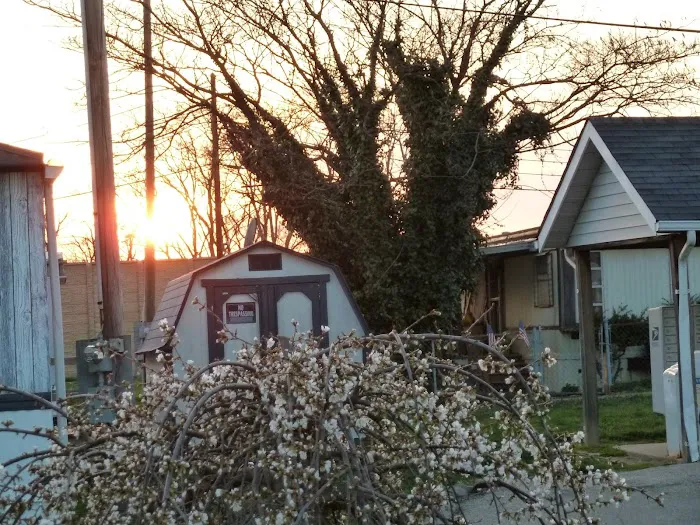 Hazelhurst Mobile Home Park Picture 6