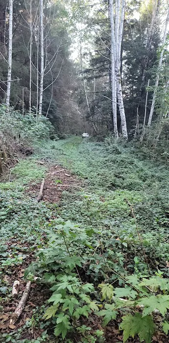 Elam Camp Camp Site Picture 1