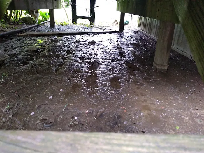 Branch Hill Mobile Home Park Picture 4