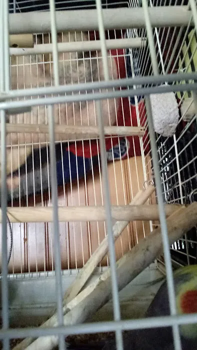 Branch Hill Mobile Home Park Picture 7